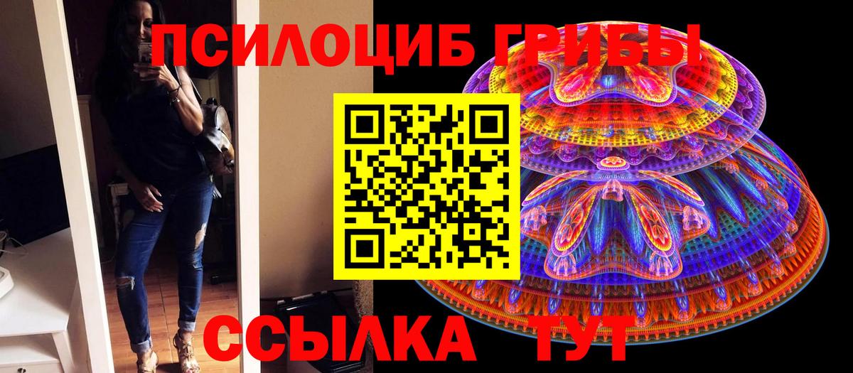 Галлюциногенные грибы MAGIC MUSHROOMS  Псилоцибиновые грибы GOLDEN TEACHER  Петропавловск-Камчатский  Вход с VPN 
