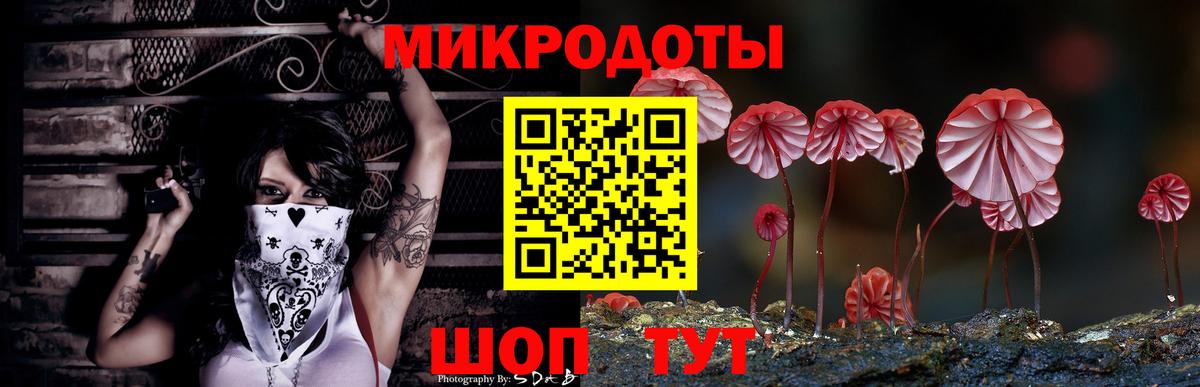 Псилоцибиновые грибы Psilocybine cubensis Петропавловск-Камчатский